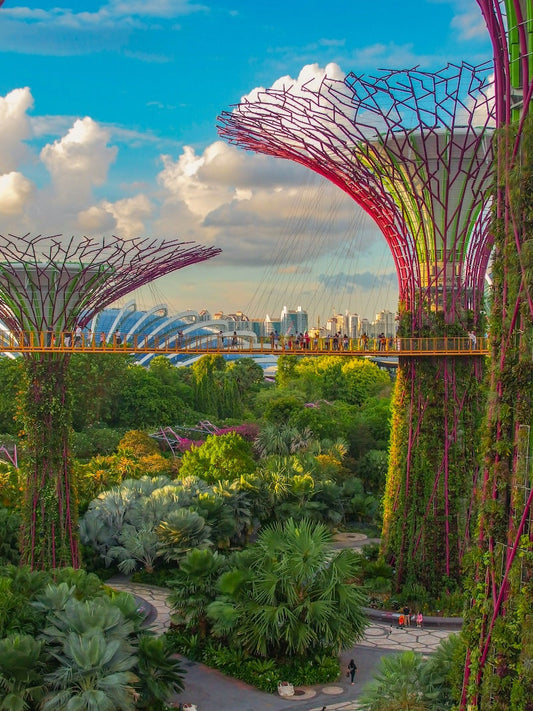 Singapore Stopover with Kids: The Australian Family's Complete Guide