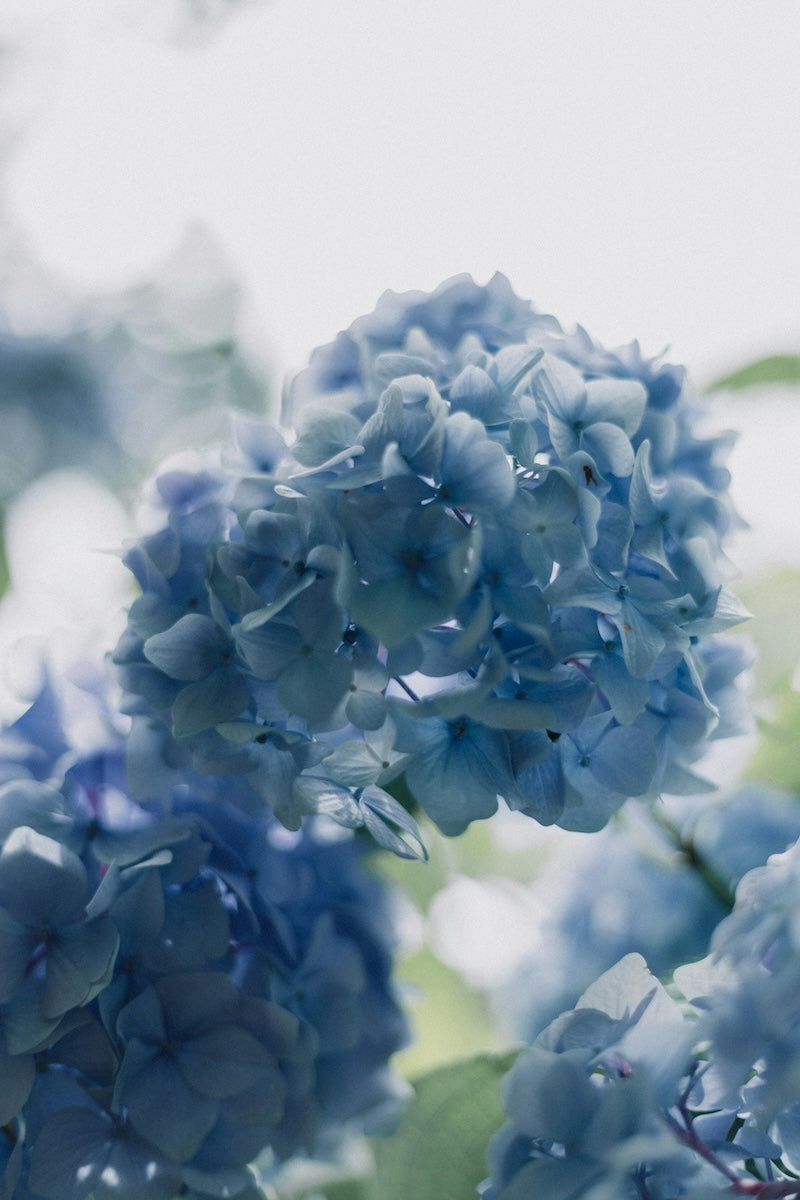 Grief Journal Australia: How to Start Processing Loss Through Writing